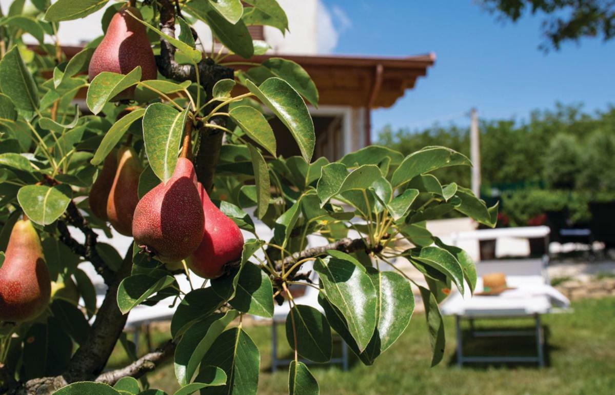 Le Margherite Country House Montefalcone Appennino Buitenkant foto